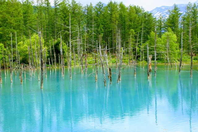 blue pond