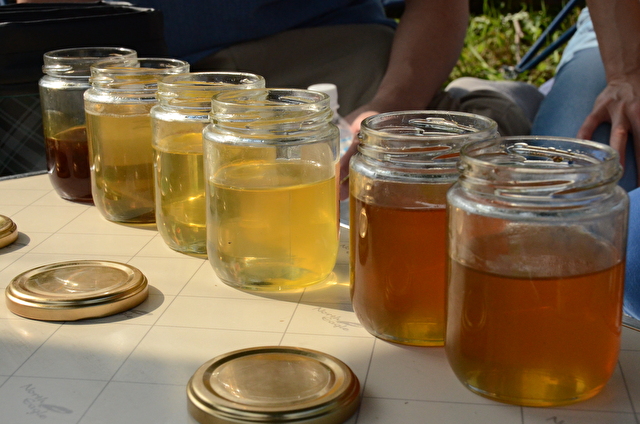 Beekeeper experience Furano