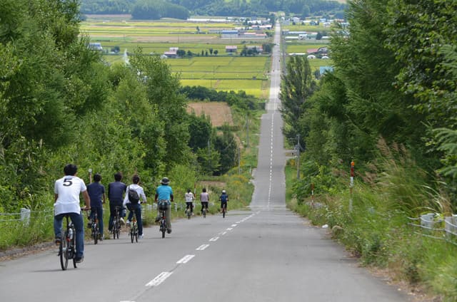 furano_cycling