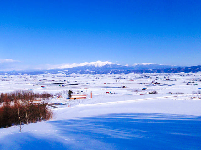Asahikawa Winter