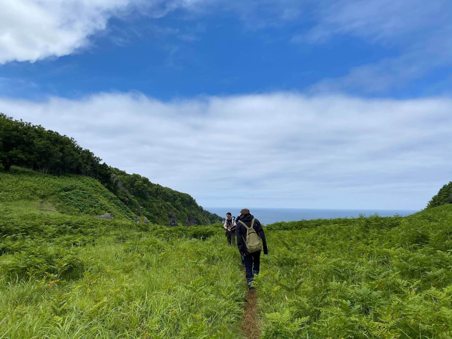 World Heritage Shiretoko 1 day Tour