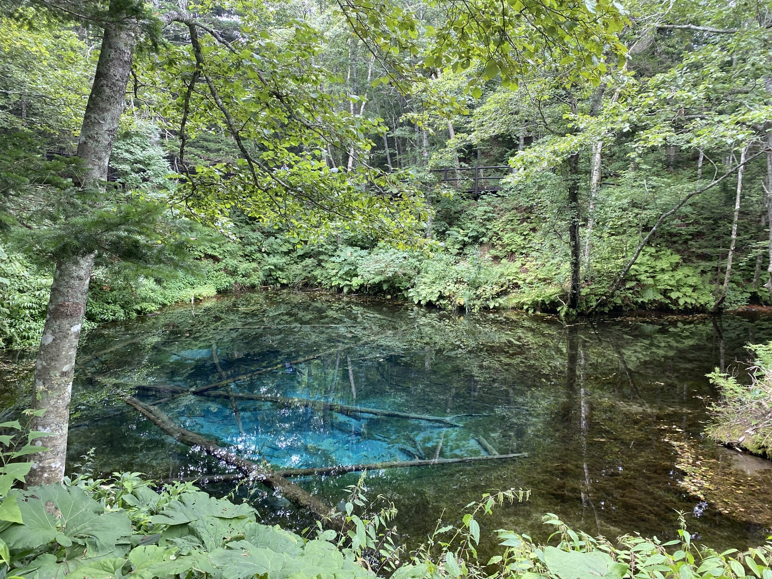 【Apr-Oct/Shiretoko】Mysteries of Hokkaido: Kaminoko Pond Night Photo ...