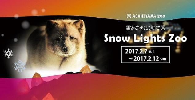 Asahikawa Winter Festival Asahiyama Zoo