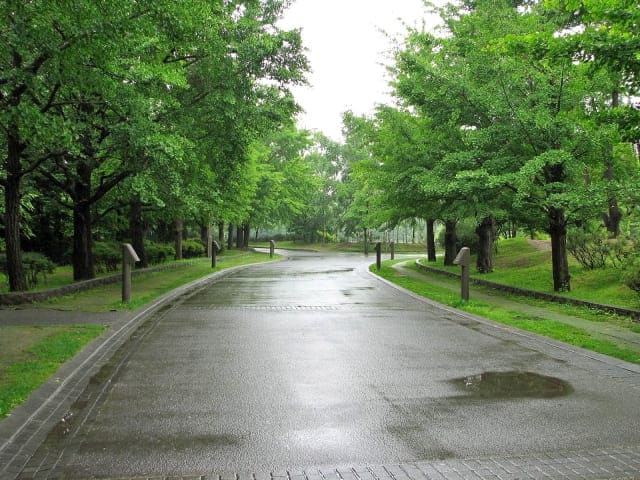 Sapporo rainy day park
