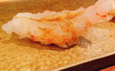【札幌/寿司】一度は堪能したい「和喜智」の絶品寿司