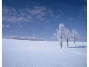 冬 北海道