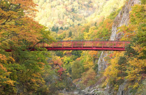 札幌　紅葉