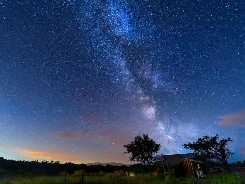 満天の星空と夜行性動物を楽しむナイトウォッチングツアー
